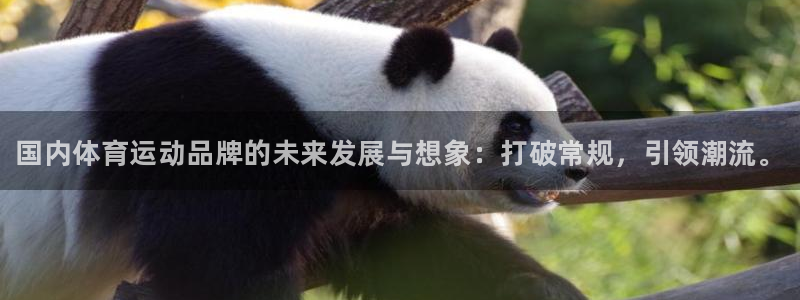 yy易游官网下载招商电话地址：国内体育运动品牌的未来