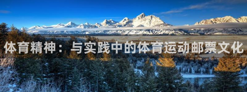 yy易游官网下载平台注册要钱吗：体育精神：与实践中的
