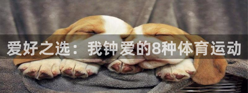 海南yy易游官网下载：爱好之选：我钟爱的8种体育运动