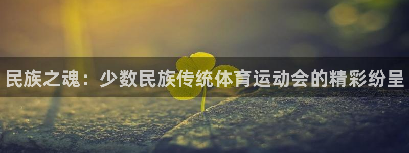 yy易游官网下载平台注册要钱吗是真的吗：民族之魂：少