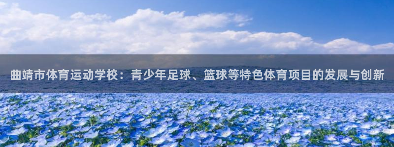 yy易游官方正版app官方：曲靖市体育运动学校：青少