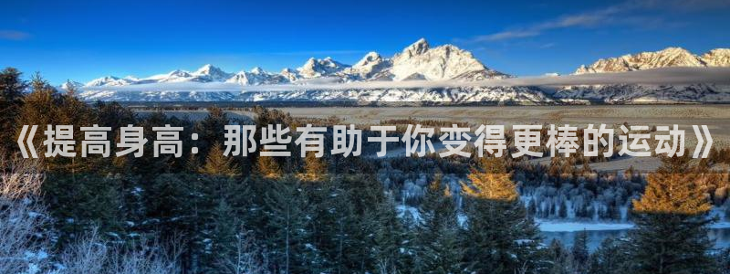 yy易游官方正版app集团E.ON：《提高身高：那些