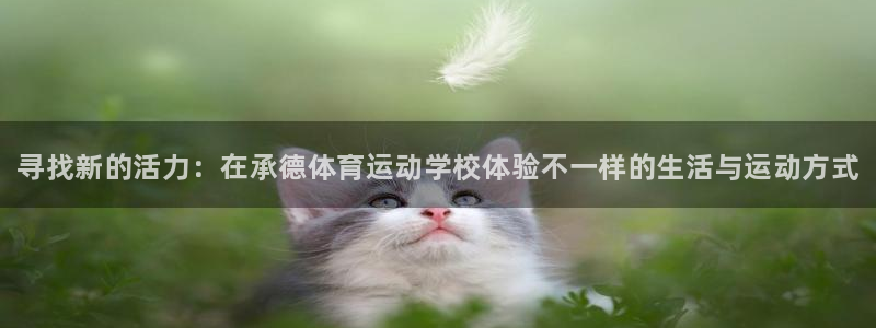 yy易游官网下载招商电话地址是多少：寻找新的活力：在