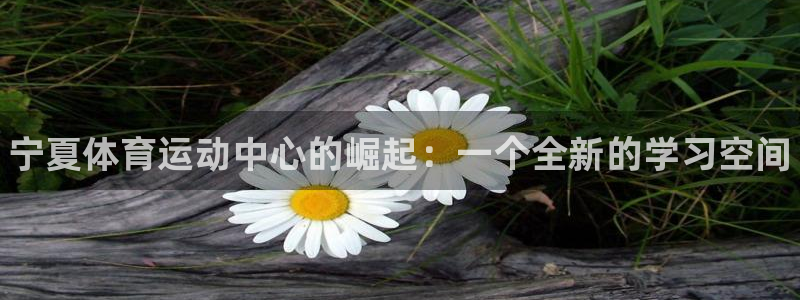 yy易游官网下载平台假的吗是真的吗：宁夏体育运动中心