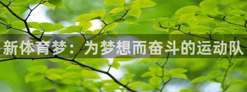 yy易游官网下载：新体育梦：为梦想而奋斗的运动队
