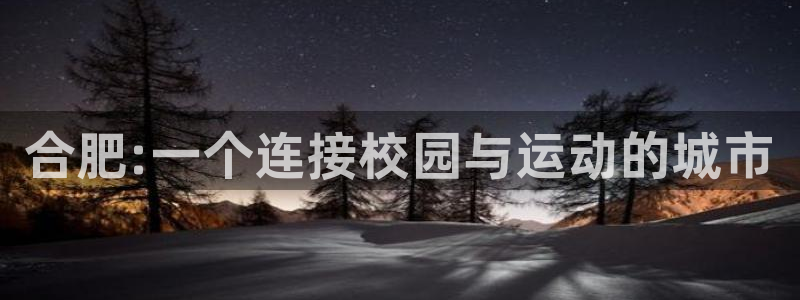 yy易游官网下载招商电话号码查询：合肥:一个连接校园