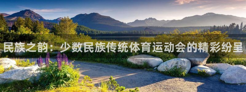 yy易游官方正版app娱乐下载：民族之韵：少数民族传