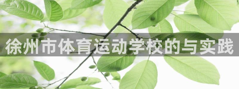 yy易游官方正版app官方：徐州市体育运动学校的与实