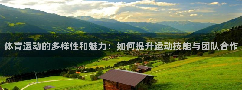 yy易游官方正版app五金厂：体育运动的多样性和魅力
