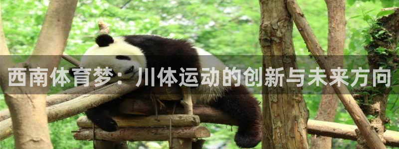 yy易游官网下载平台注册流程视频：西南体育梦：川体运动的创新