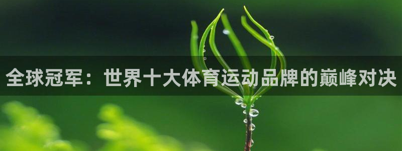 yy易游官网下载平台：全球冠军：世界十大体育运动品牌的巅峰对