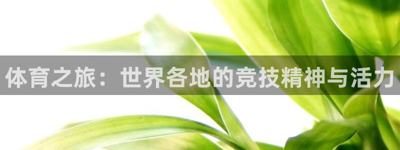 yy易游官方正版app官网：体育之旅：世界各地的竞技精神与活