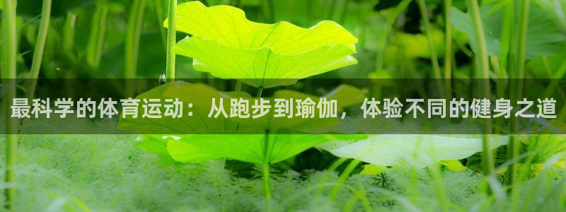 yy易游官网下载平台假的吗是真的吗：最科学的体育运动：从跑步