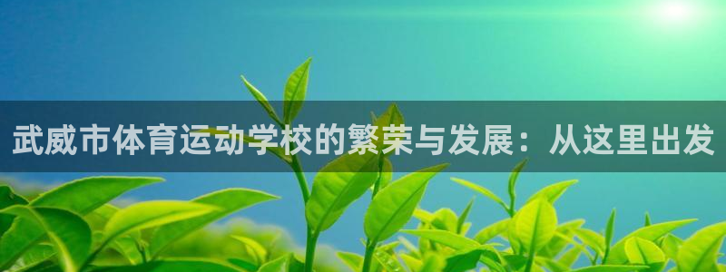 yy易游官方集团官网：武威市体育运动学校的繁荣与发展：从这里