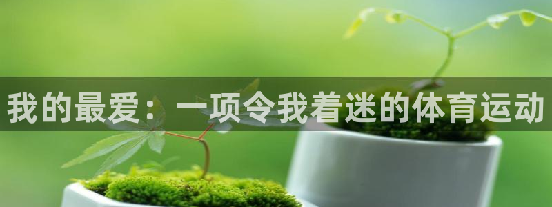 注册yy易游官方正版app：我的最爱：一项令我着迷的体育运动