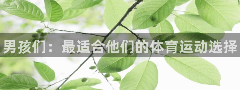 yy易游官方正版app娱乐40996：男孩们：最适合