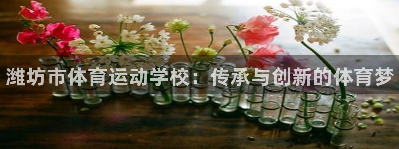 yy易游官网下载平台是正规平台吗知乎：潍坊市体育运动学校：传