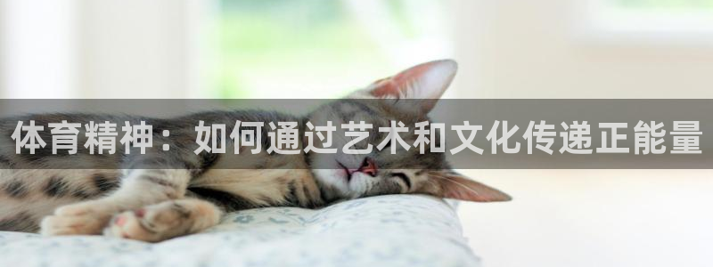 yy易游官方正版app官方
