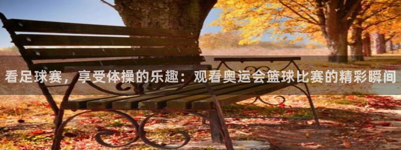 yy易游官网下载招商