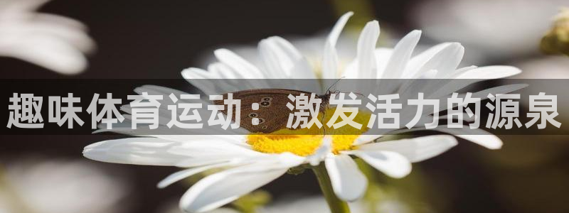 yy易游官方正版app集团官网网址：趣味体育运动：激发活力的