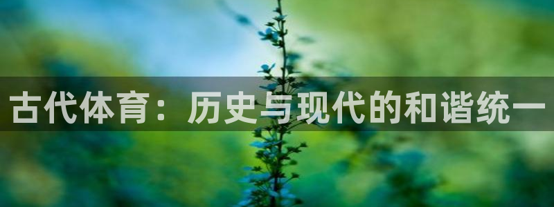 注册yy易游官方正版app：古代体育：历史与现代的和谐统一