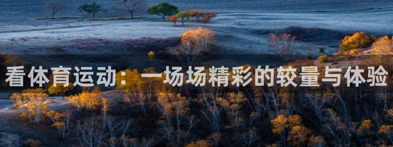 yy易游官网下载平台假的吗是真的吗：看体育运动：一场场精彩的