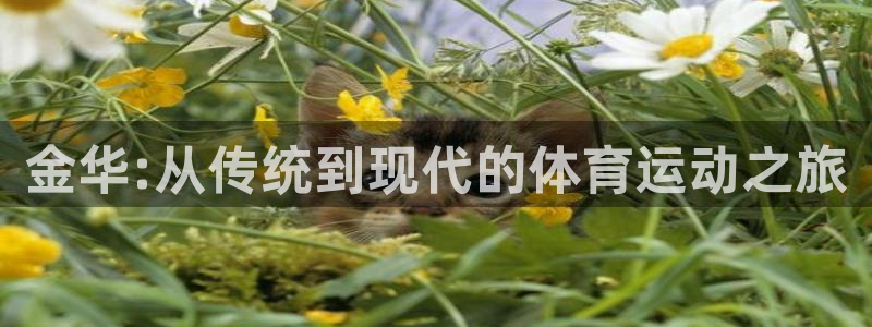 yy易游官网下载招商电话号码是多少号：金华:从传统到现代的体
