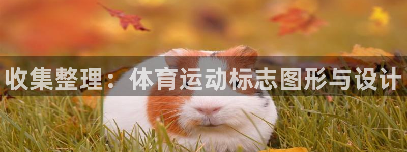 yy易游官方正版app集团官网首页：收集整理：体育运动标志图