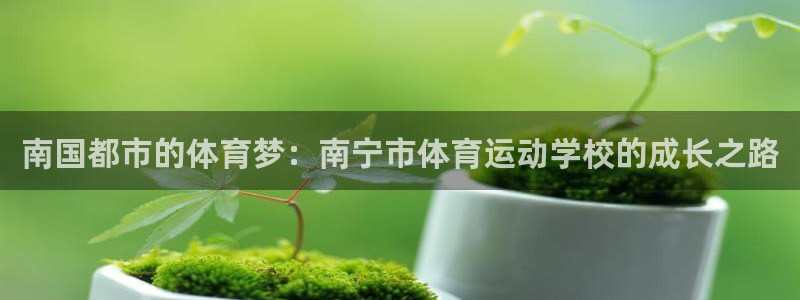 yy易游官网下载注册：南国都市的体育梦：南宁市体育运