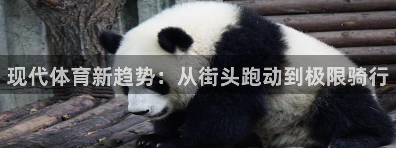 yy易游官方正版app娱乐平台：现代体育新趋势：从街头跑动到