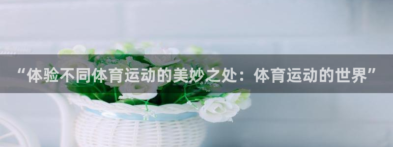 yy易游官方正版app集团简介：“体验不同体育运动的