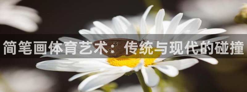 yy易游官方正版app新能源：简笔画体育艺术：传统与