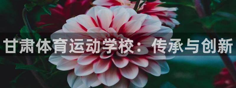 yy易游官方正版app开户：甘肃体育运动学校：传承与