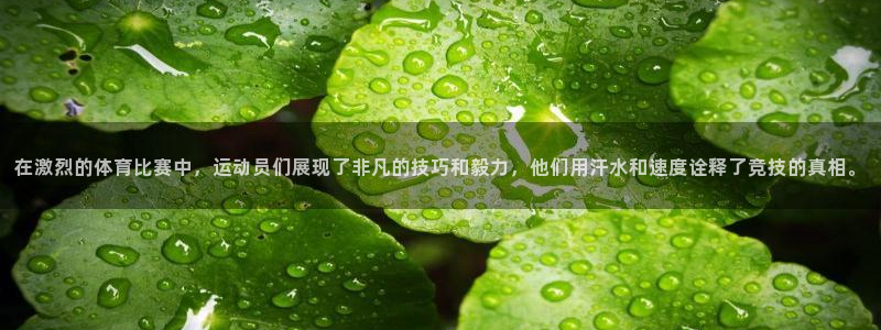 yy易游官网下载是干嘛的公司：在激烈的体育比赛中，运