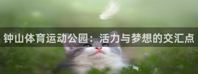 yy易游官网下载招商电话号码查询是多少：钟山体育运动