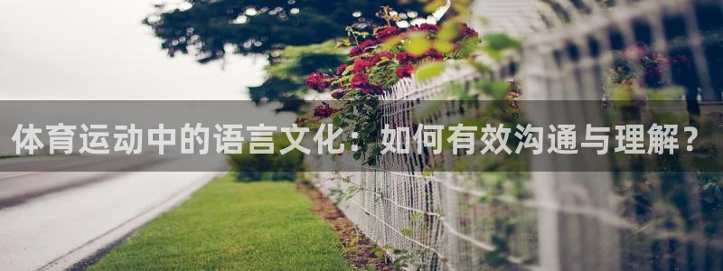 yy易游官网下载平台假的吗是真的吗吗：体育运动中的语言文化：
