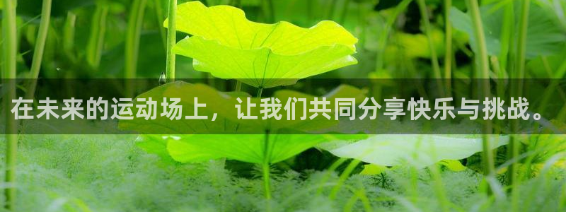 yy易游体育是正规的吗安全吗可靠吗：