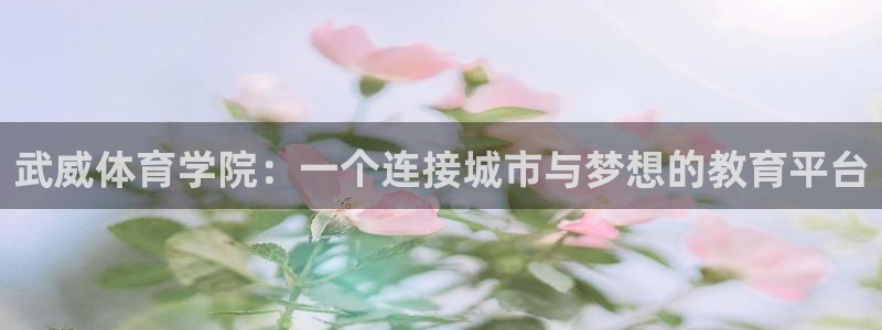  yy易游体育是正规的吗安全吗可靠吗：武威体育学院：一个连接城