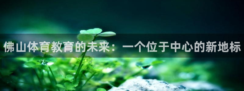  yy易游体育是正规的吗安全吗可靠吗：佛山体育教育的未来：一个