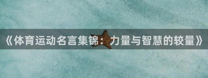 yy易游体育电竞登录不上去：《体育运