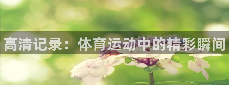  yy易游体育电竞：高清记录：体育运动中的精彩瞬间