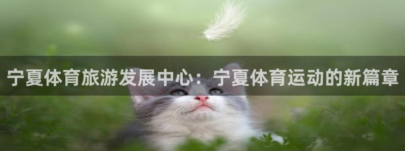 yy易游体育电竞怎么样：宁夏体育旅游