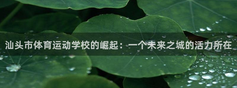  yy易游体育是正规的吗安全吗可靠吗：汕头市体育运动学校的崛起