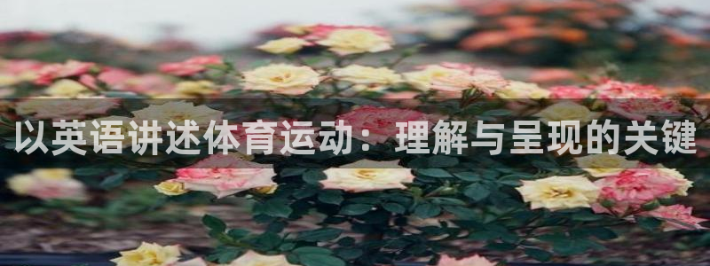 yy易游app最新版本更新内容分享：以英语讲述体育运动：理解