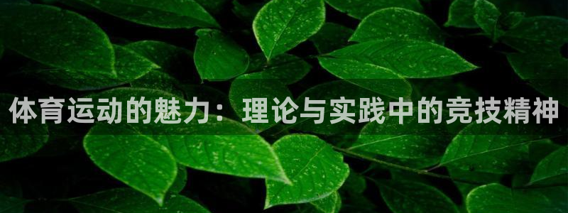 yy易游体育是正规的吗安全吗可靠吗：体育运动的魅力：理论与实