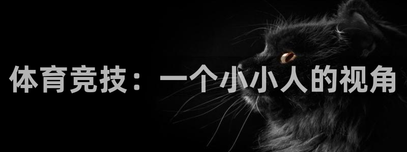 yy易游体育电竞登录不上去：体育竞技：一个小小人的视角
