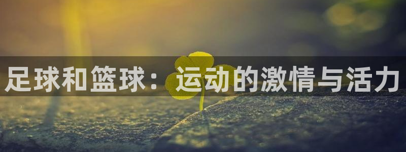 yy易游体育电竞怎么样：足球和篮球：