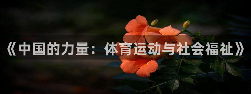yy易游体育电竞登录不上去了：《中国的力量：体育运动与社会福