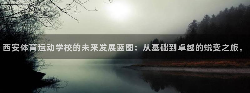  yy易游app最新版本更新内容分享：西安体育运动学校的未来发