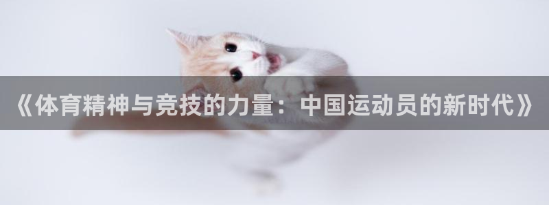  yy易游体育电竞登录不上去：《体育精神与竞技的力量：中国运动
